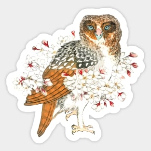 Owl and Cherry Flowers Sticker